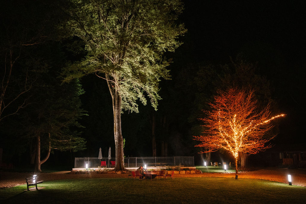 Night scene in a garden with trees illuminated, including a brightly lit tree and outdoor seating area at Bomen Harrietville; Accommodation Bright, Mid Century Stays, Victoria Alpine